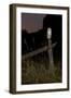 Barn owl perched on an old farm gate, Suffolk, England, United Kingdom, Europe-Kyle Moore-Framed Photographic Print