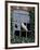 Barn Owl Sitting in Old Farm Window, Tyto Alba, Norfolk-Paul Hobson-Framed Photographic Print