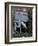 Barn Owl Sitting in Old Farm Window, Tyto Alba, Norfolk-Paul Hobson-Framed Photographic Print