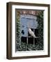 Barn Owl Sitting in Old Farm Window, Tyto Alba, Norfolk-Paul Hobson-Framed Photographic Print