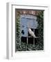 Barn Owl Sitting in Old Farm Window, Tyto Alba, Norfolk-Paul Hobson-Framed Photographic Print