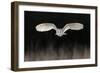 Barn Owl (Tyto alba) adult, in flight, hunting over meadow, Leicestershire-Martin Withers-Framed Photographic Print