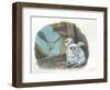 Barn Owl Tyto Alba Bringing Food to Chicks-null-Framed Premium Giclee Print