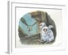 Barn Owl Tyto Alba Bringing Food to Chicks-null-Framed Giclee Print