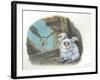 Barn Owl Tyto Alba Bringing Food to Chicks-null-Framed Giclee Print