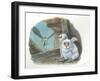 Barn Owl Tyto Alba Bringing Food to Chicks-null-Framed Giclee Print