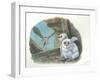 Barn Owl Tyto Alba Bringing Food to Chicks-null-Framed Giclee Print