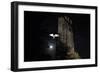 Barn Owl (Tyto Alba) Flying Past the Tower of St James Church with Moon Behind-Ernie Janes-Framed Photographic Print