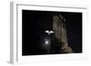 Barn Owl (Tyto Alba) Flying Past the Tower of St James Church with Moon Behind-Ernie Janes-Framed Photographic Print