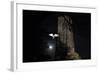 Barn Owl (Tyto Alba) Flying Past the Tower of St James Church with Moon Behind-Ernie Janes-Framed Photographic Print