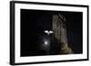 Barn Owl (Tyto Alba) Flying Past the Tower of St James Church with Moon Behind-Ernie Janes-Framed Photographic Print