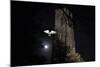 Barn Owl (Tyto Alba) Flying Past the Tower of St James Church with Moon Behind-Ernie Janes-Mounted Photographic Print