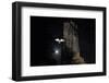 Barn Owl (Tyto Alba) Flying Past the Tower of St James Church with Moon Behind-Ernie Janes-Framed Photographic Print