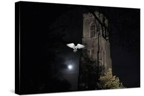 Barn Owl (Tyto Alba) Flying Past the Tower of St James Church with Moon Behind-Ernie Janes-Stretched Canvas