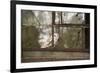 Barn Owl (Tyto Alba), Herefordshire, England, United Kingdom-Janette Hill-Framed Photographic Print