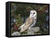 Barn Owl (Tyto Alba), on Dry Stone Wall with Hawthorn Berries in Late Summer, Captive, England-Steve & Ann Toon-Framed Stretched Canvas