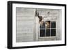 Barn Owl (Tyto Alba)-Rolf Nussbaumer-Framed Photographic Print