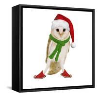 Barn Owl Wearing Christmas Hat, Scarf and Shoes-Andy and Clare Teare-Framed Stretched Canvas