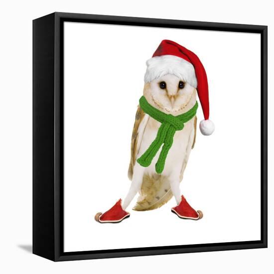 Barn Owl Wearing Christmas Hat, Scarf and Shoes-Andy and Clare Teare-Framed Stretched Canvas