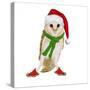 Barn Owl Wearing Christmas Hat, Scarf and Shoes-Andy and Clare Teare-Stretched Canvas