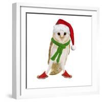 Barn Owl Wearing Christmas Hat, Scarf and Shoes-Andy and Clare Teare-Framed Photographic Print