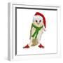 Barn Owl Wearing Christmas Hat, Scarf and Shoes-Andy and Clare Teare-Framed Photographic Print