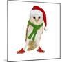 Barn Owl Wearing Christmas Hat, Scarf and Shoes-Andy and Clare Teare-Mounted Photographic Print