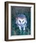 Barn Owl with a Mouse, Native to Southern USA-David Northcott-Framed Photographic Print