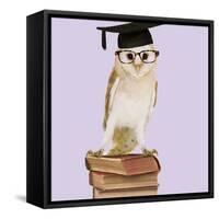Barn Owl with Books Wearing Glasses and Mortar Board-Andy and Clare Teare-Framed Stretched Canvas
