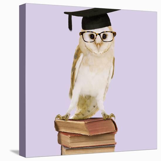 Barn Owl with Books Wearing Glasses and Mortar Board-Andy and Clare Teare-Stretched Canvas