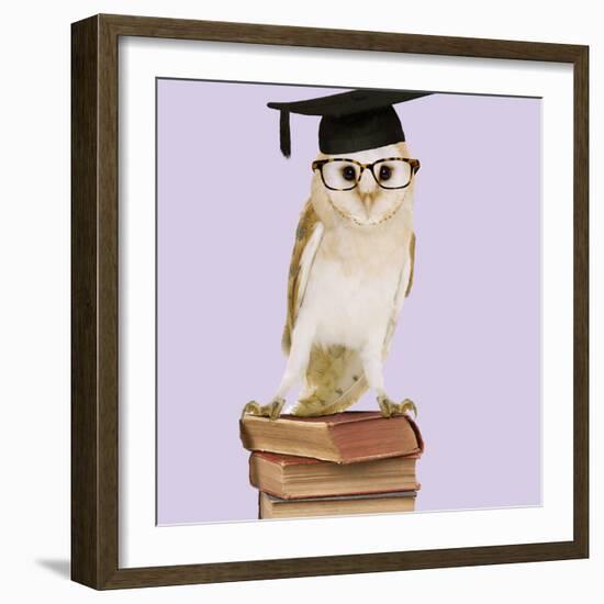 Barn Owl with Books Wearing Glasses and Mortar Board-Andy and Clare Teare-Framed Photographic Print