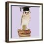 Barn Owl with Books Wearing Glasses and Mortar Board-Andy and Clare Teare-Framed Photographic Print