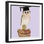 Barn Owl with Books Wearing Glasses and Mortar Board-Andy and Clare Teare-Framed Photographic Print