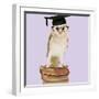 Barn Owl with Books Wearing Glasses and Mortar Board-Andy and Clare Teare-Framed Photographic Print