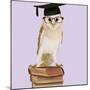 Barn Owl with Books Wearing Glasses and Mortar Board-Andy and Clare Teare-Mounted Photographic Print