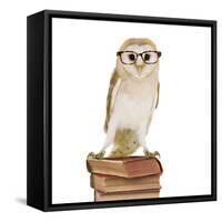 Barn Owl with Books Wearing Glasses-Andy and Clare Teare-Framed Stretched Canvas