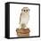 Barn Owl with Books Wearing Glasses-Andy and Clare Teare-Framed Stretched Canvas