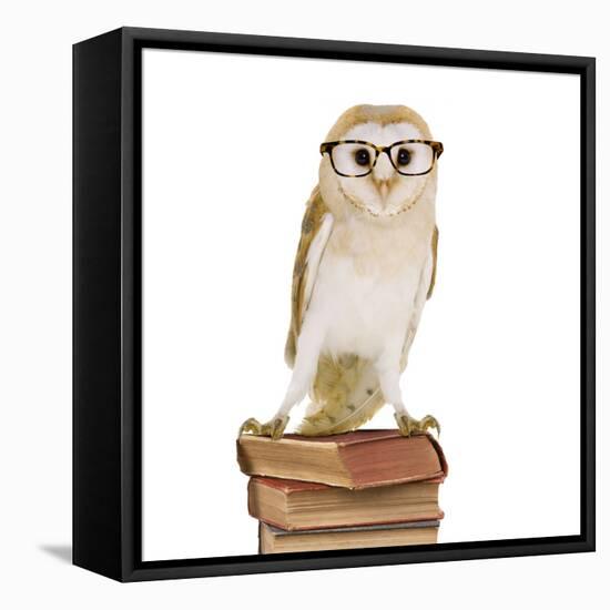 Barn Owl with Books Wearing Glasses-Andy and Clare Teare-Framed Stretched Canvas