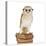 Barn Owl with Books Wearing Glasses-Andy and Clare Teare-Stretched Canvas