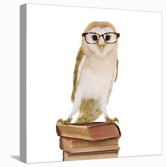 Barn Owl with Books Wearing Glasses-Andy and Clare Teare-Stretched Canvas
