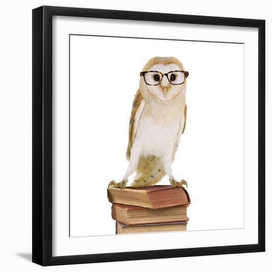 Barn Owl with Books Wearing Glasses-Andy and Clare Teare-Framed Photographic Print