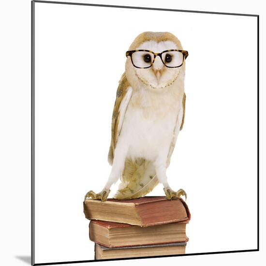 Barn Owl with Books Wearing Glasses-Andy and Clare Teare-Mounted Photographic Print