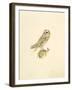 Barn Owl-C^T^N^ Ackland-Framed Premium Giclee Print