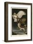 Barn Owl-John James Audubon-Framed Giclee Print