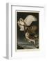 Barn Owl-John James Audubon-Framed Giclee Print