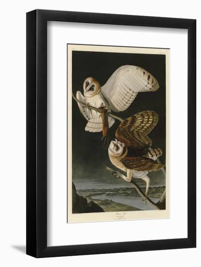 Barn Owl-John James Audubon-Framed Giclee Print