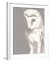 Barn Owl-Sasha Blake-Framed Giclee Print