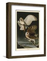 Barn Owl-John James Audubon-Framed Art Print