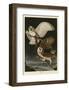 Barn Owl-John James Audubon-Framed Art Print