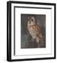 Barn Owl-Joseph Crawhall-Framed Premium Giclee Print